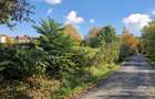 Vanzare teren intravilan  5000 mp, Bucium, 50ml front stradal, P.F. - 3