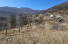Teren intravilan de vanzare, 1550 mp, cu priveliște panoramică, Deva - 2