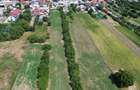 Teren  4.699mp sat Milcov de vanzare la sosea - 21