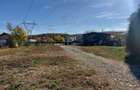 De închiriat: Hale si locuință pe 3 000 mp/ Bascov - Argeș - 10