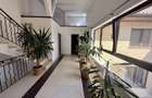 SPATIU COMERCIAL | DOMENII | 300 MP | 180 MP CURTE - 13