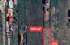 Terenuri Domnesti - 500mp -> 4 Ha - 2