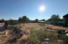 CASA PLAN PARTER | TEREN 990 MP | ACCES AUTO | ZONA TARIAN | BIHOR - 15