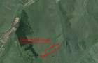 Teren extravilan 54.500 mp, lângă pădure, între Lovnic – Văleni - 7