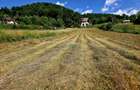Teren 680mp Viisoara / Strada Primaverii - 12