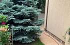 De închiriat Apartament 3 camere într-o vilă cu grădină, propietar  - 3