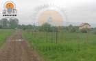 Teren intravilan Dobolii de Jos 47.700 mp | PUZ+autorizație | POT 50% - 5