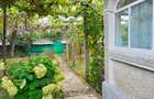 Proprietate Roznov,casa+anexe+teren 3630 mp - 11