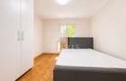 Apartament cu 2 camere, pet friendly, zona Take Ionescu - 5