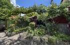Casă individuală de vânzare în Turnișor | Curte superbă 585 mp - 23