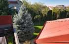 Vila tip Ranch langa Padure - 4