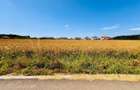TEREN -INTRAVILLAN-SUPERB-SNAGOV-PADURE-UTILITATI - 6