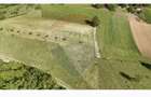 Teren  20.170mp   | Livada | Suncuius, Bihor - 12