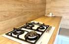 Apartament de LUX  cu gradina privată - 9