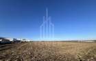 Teren Intravilan | Zona Industriala Vest | 20.663 mp - 1