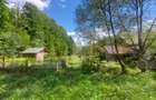 Teren intravilan 1.600 mp + constructie I Natura si liniste I Sita Buzaului - 1