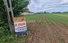 Teren Intravilan (7500 mp),situat in Balesti - Tamasesti - 1