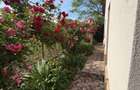Vila 6 Camere P/M Teren 1000mp Poiana - 25