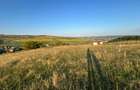 Teren intravilan de 600 mp construibil de vanzare cu panorama superba