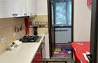 Apartament 2 camere Pacurari - Moara de Foc - 7