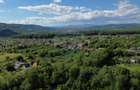 Casă de vânzare in natura la tara - Mihaesti - 7