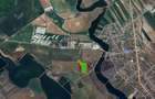 Teren intravilan 36.000 mp Crevedia - Dambovita - 3