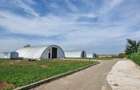 Industrial PARK for Sale – 4 Warehouses with Land, Near Bucharest (INTRAVILAN) - 1