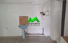Spatiu industrial de inchiriat Sibiu Turnisor - 3