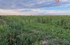 Teren intravilan de 2100 mp de vanzare in Remetea Mare - 3