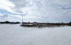 Teren Industrial Brasov 16.000mp zona INA Schaeffler - 3
