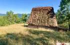 Vanzare casa cu 116.445 mp teren in Muntii Apuseni -Mogos - 9