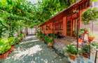 Casa foarte spatioasa cu gradina si gospodarie, Santana - 16