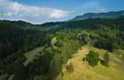 Film! Teren cu destinatie turistica si agrement, Poiana Brasov - Rasnov - 2