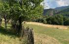 Teren Montan 6.572 mp Jieț (Petrila , Județul Hunedoara) - 4
