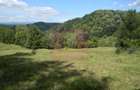Teren intravilan de vanzare in Telega - 8