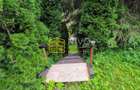 Cabană – Mureș – Sălard – Zona Pensiunea Denisa - 18