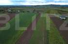 Teren agricol, 5.200 mp, Comuna Sendriceni - 1