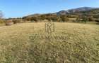 O oportunitate care îți atinge sufletul: Teren de vis la ieșirea din Rășinari - 5