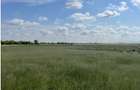 Teren intravilan Loc. Sanleani, Jud. Arad - 1