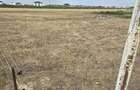 TEREN INTRAVILAN 568 MP | PROIECT CASA | CIHEI - SANMARTIN | BIHOR - 4