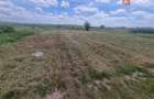 Teren intravilan de 743 mp in Mosnita Veche - 3