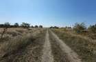 Frumusani post trafo - 5