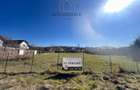 Dumbravita Teren Intravilan 1466mp Front 29m | Langa Padure - 2