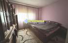 Proprietate 2 case curte pavata Teren 700 mp Hotel CETATE gard utilitati - 19
