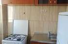 Dristor Ramnicu Valcea, metrou 5 min, 100% mobilata/utilata, libera, Park Lake - 13