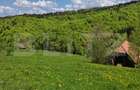 Teren intravilan 3400 mp, in Balaban - Simon, Bran - Brasov - 7