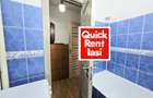 Tatarasi Nord - Piata Chirila Apartament 2 Camere Semidecomandat De Inchiriat - 8
