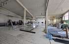 Dipozit/Showroom , Centura Bucuresti , 800 mp - 5