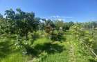 Teren intravilan  - de vânzare / 750 mp, Gherăiești, Bacău - 1
