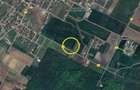 Vanzare teren intravilan Magurele / 2.500 mp / D: 17.55 m - 3